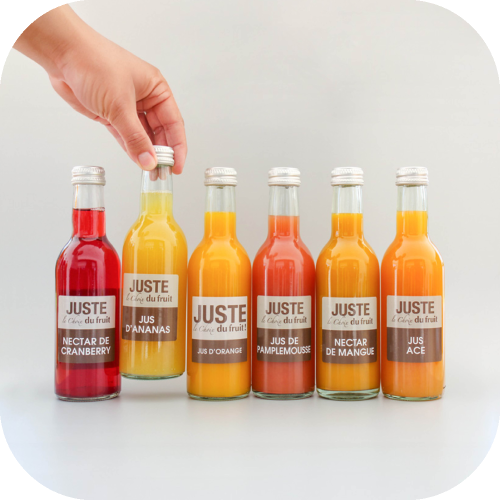 assortiment jus et nectars aux fruits aventuriers 25cl